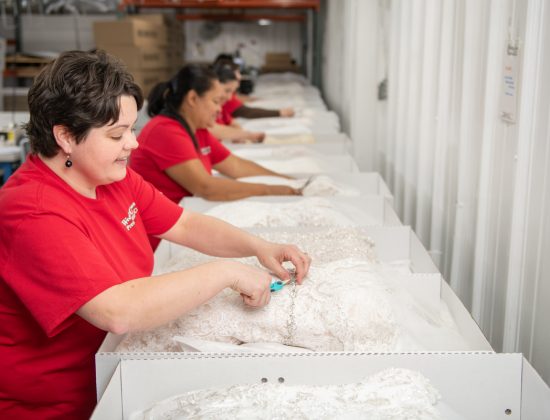 Dress Preservation